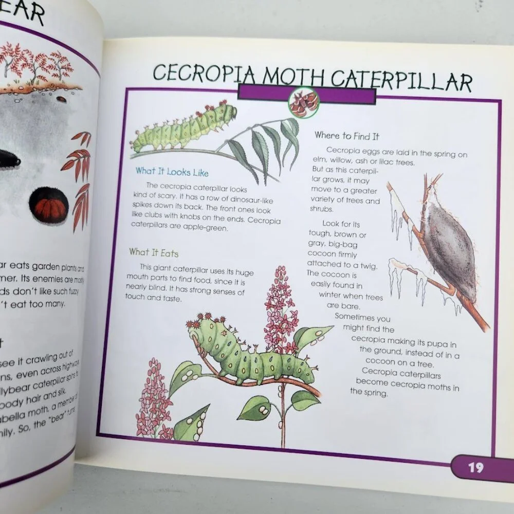 More Fun With Nature Take Along Guides Field Guide Hardcover Book Activity Craft